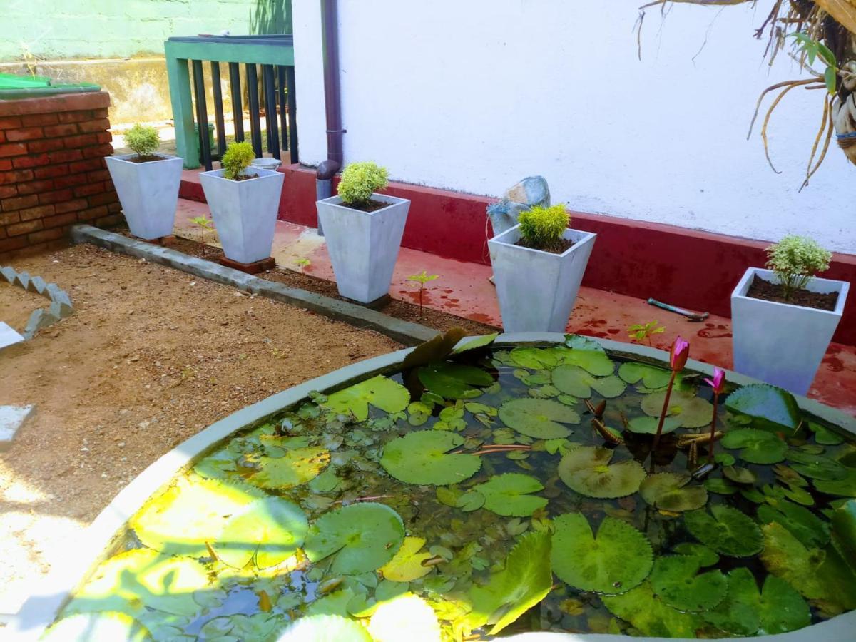 Guesthouse Panorama Beruwala Zewnętrze zdjęcie